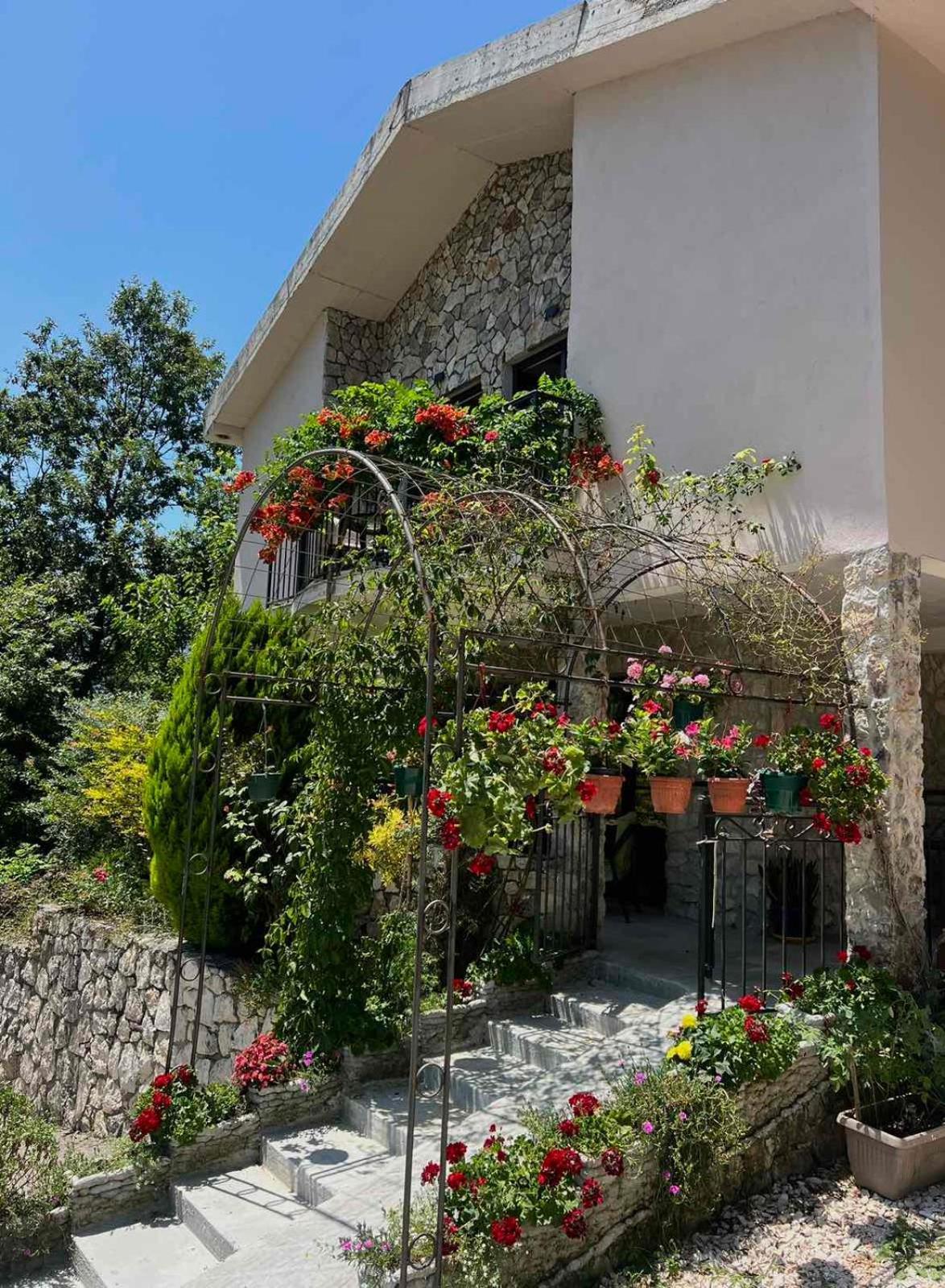 Dado Apartment Virpazar Exterior photo